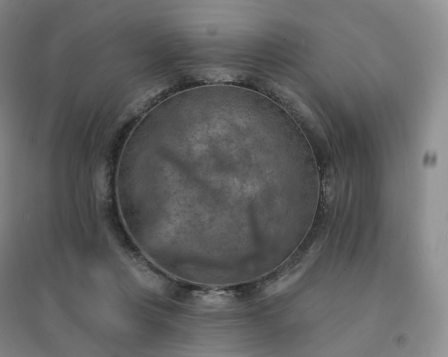 X0000094460359200711151455