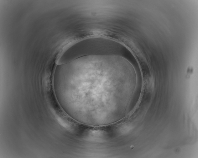X0000094460360200711151455