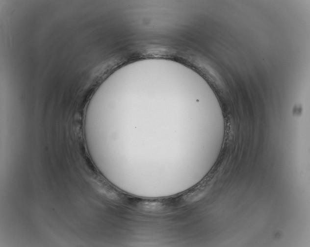 X0000094460361200711151455