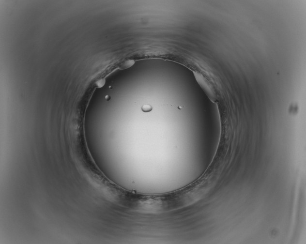 X0000094460362200711151455