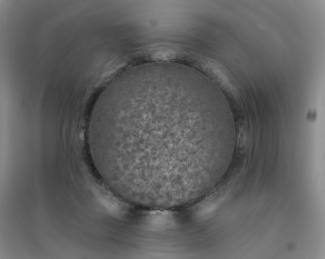 X0000094460363200711151455