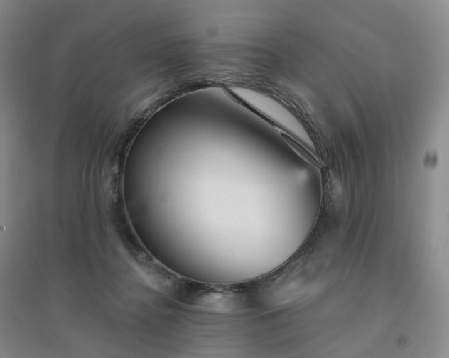 X0000094460364200711151455