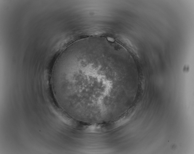 X0000094460366200711151455