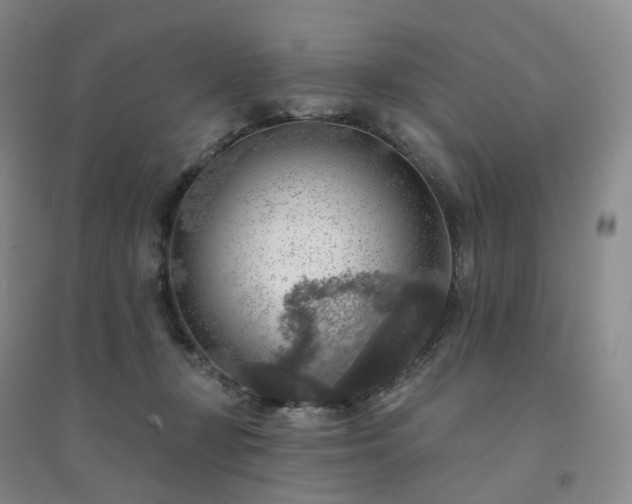 X0000094460367200711151455