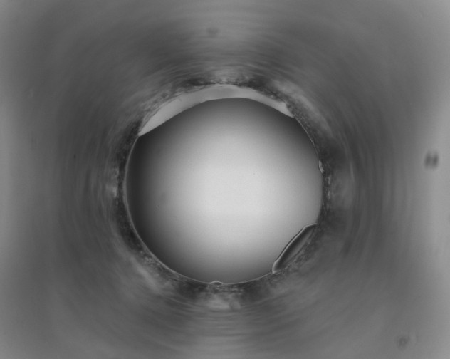 X0000094460368200711151455