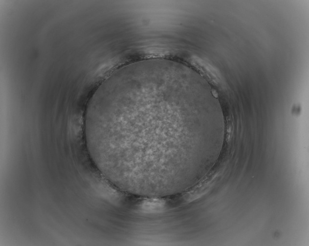 X0000094460369200711151455