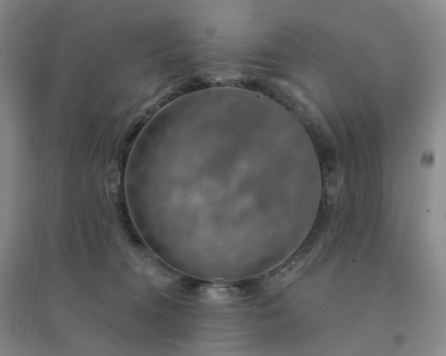X0000094460372200711151455