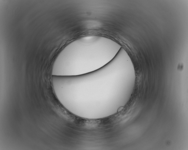 X0000094460373200711151455