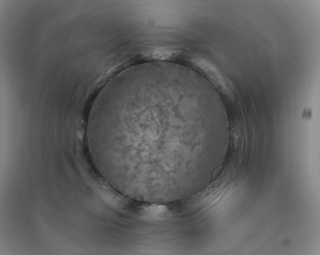 X0000094460374200711151455