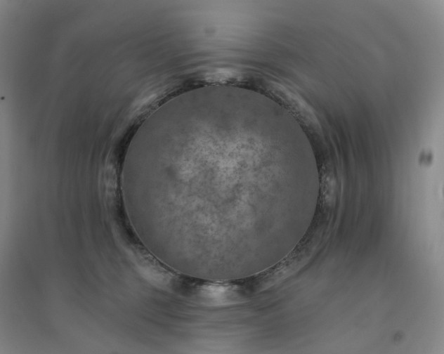 X0000094460375200711151455