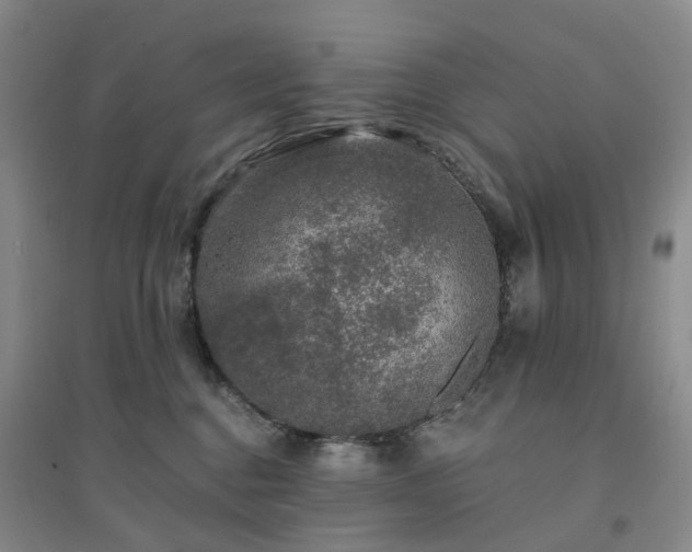 X0000094460376200711151455