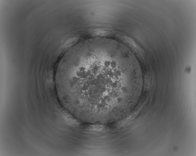 X0000094460377200711151455