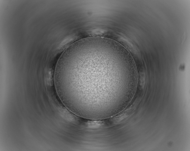 X0000094460378200711151455