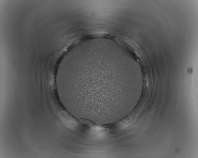 X0000094460380200711151455