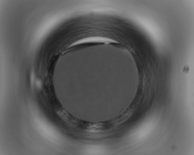 X0000094460382200711151455