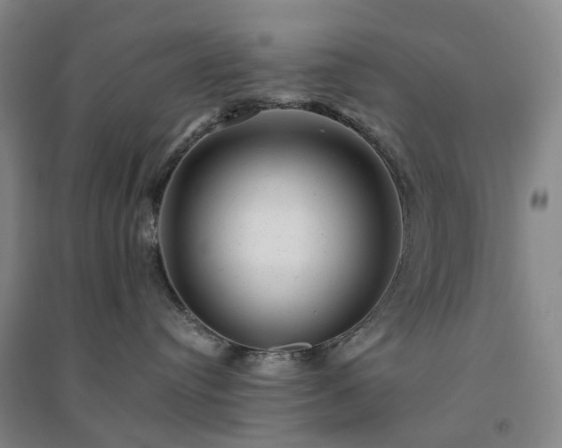 X0000094460384200711151455