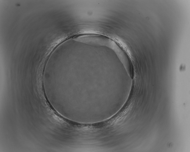 X0000094460385200711151454
