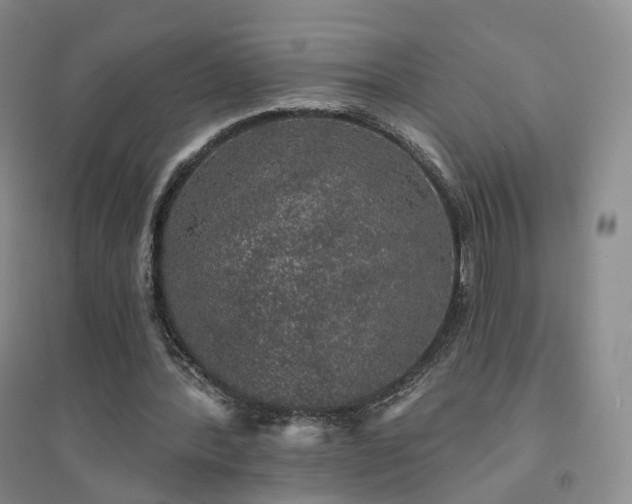 X0000094460388200711151454