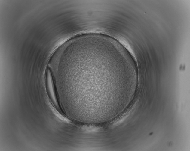 X0000094460389200711151454