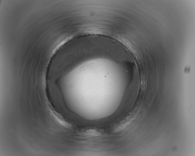 X0000094460390200711151454