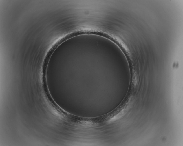 X0000094460391200711151454