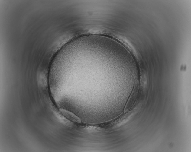 X0000094460393200711151454