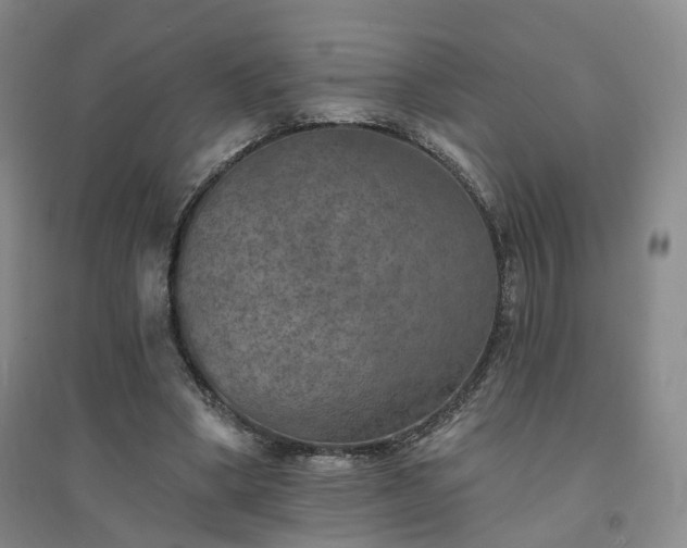 X0000094460394200711151454