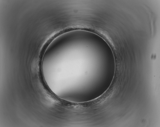 X0000094460395200711151454