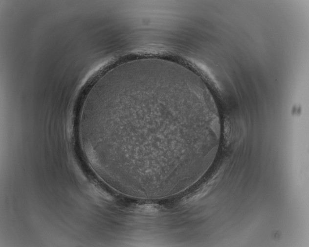 X0000094460396200711151454