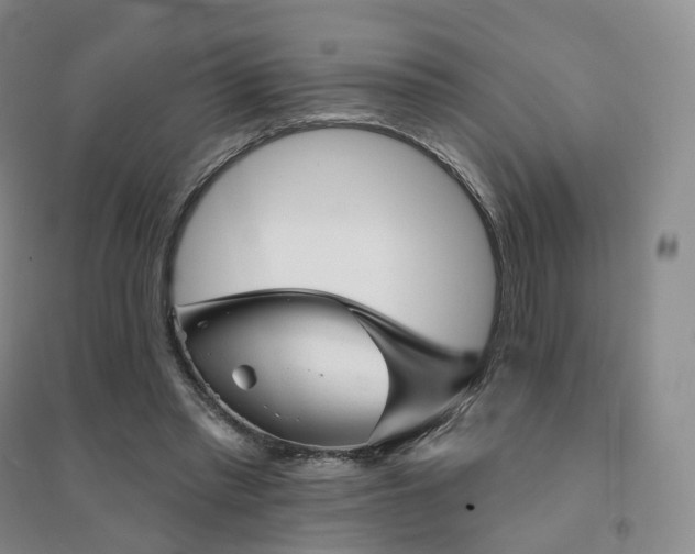 X0000094460397200711151454