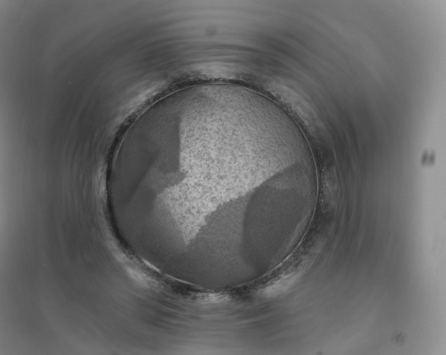 X0000094460398200711151454