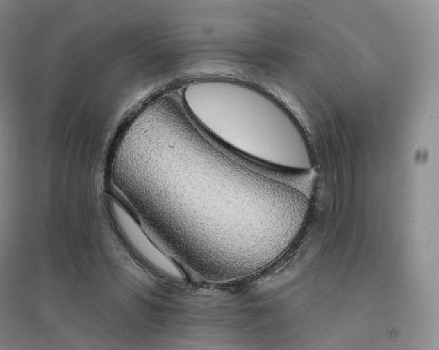 X0000094460399200711151454