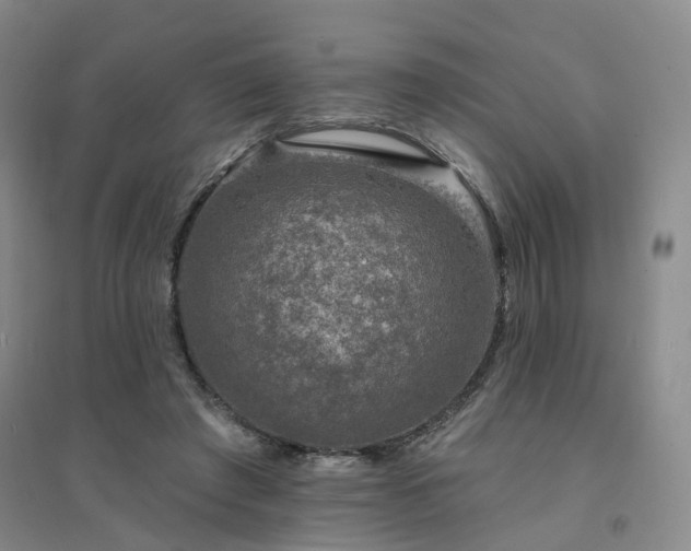 X0000094460401200711151454