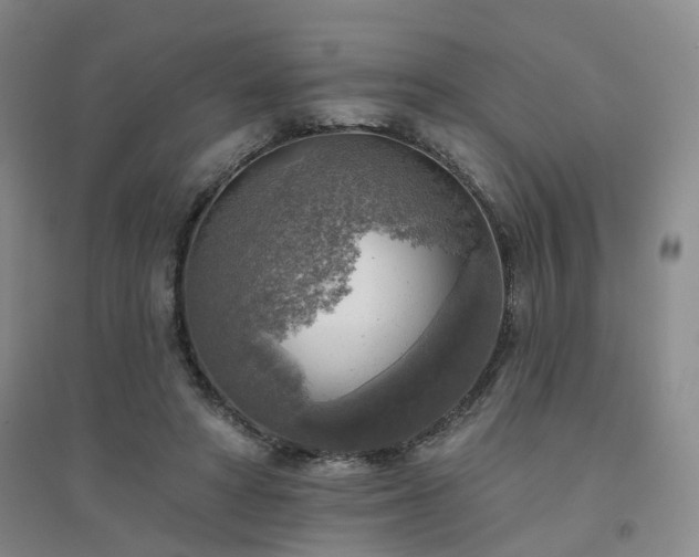 X0000094460402200711151454