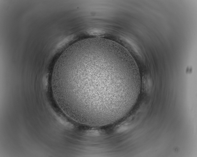 X0000094460404200711151454