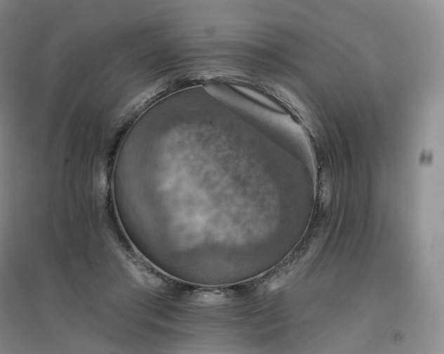 X0000094460405200711151454