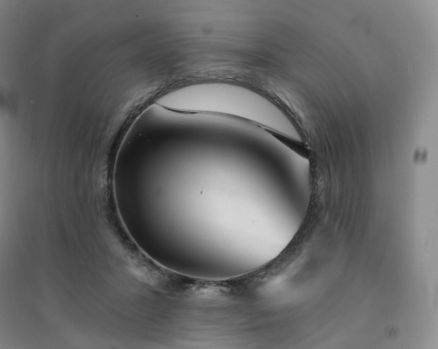 X0000094460407200711151454