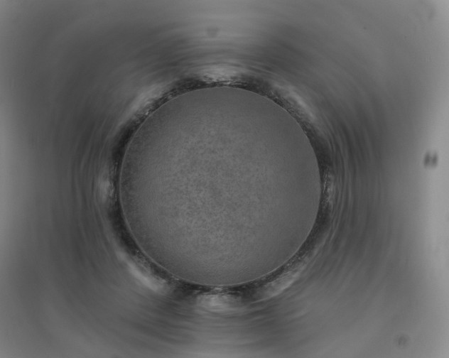 X0000094460408200711151454