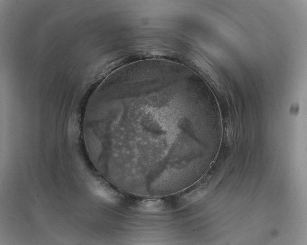 X0000094460410200711151454