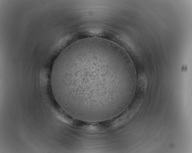 X0000094460412200711151454
