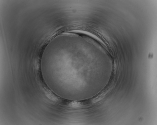 X0000094460413200711151454