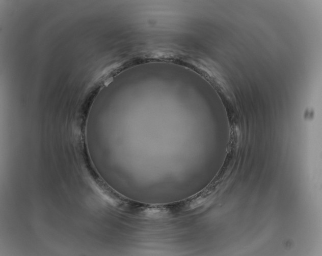 X0000094460415200711151454