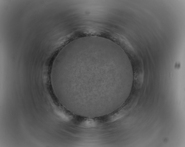 X0000094460416200711151454
