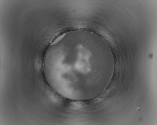 X0000094460417200711151454