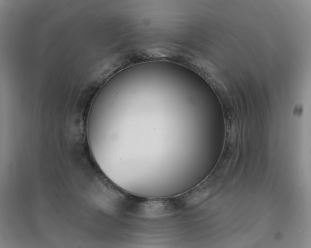 X0000094460418200711151454