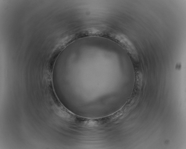X0000094460419200711151454