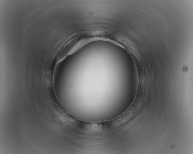 X0000094460421200711151454