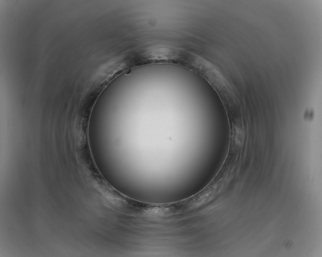 X0000094460422200711151454