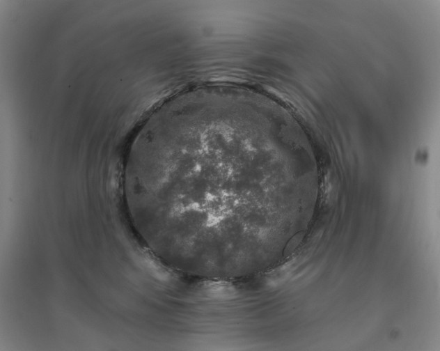 X0000094460424200711151454