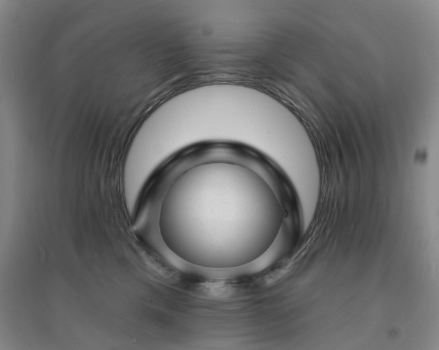 X0000094460425200711151454